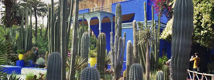 Jardin Majorelle Marrakesch