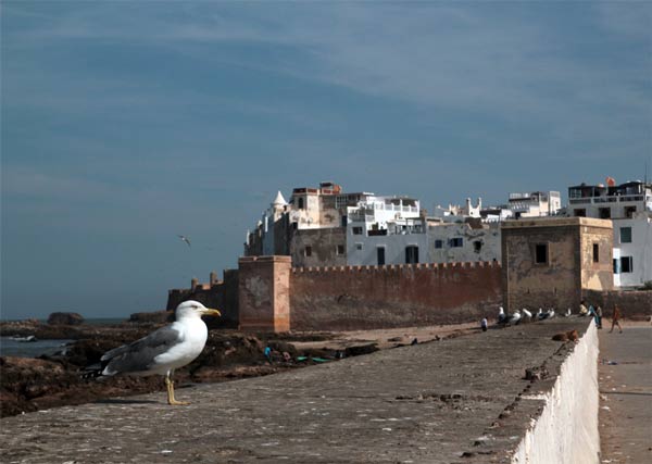 Essaouira Panorama marokko 