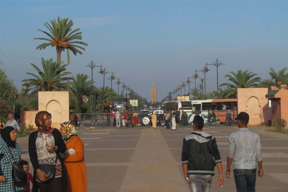 Blick aus dem Menara-Garten in Marrakesch auf die Koutoubia-Moschee