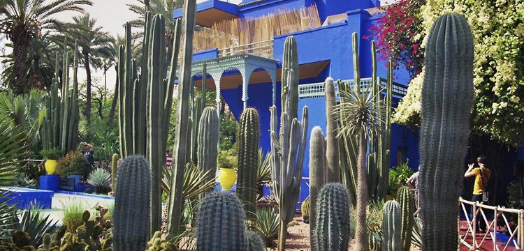 Jardin Majorelle Marrakesch