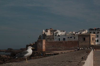 Ausflug Essaouira