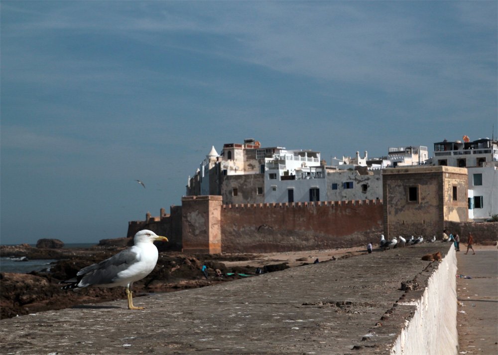 Essaouira Panorama