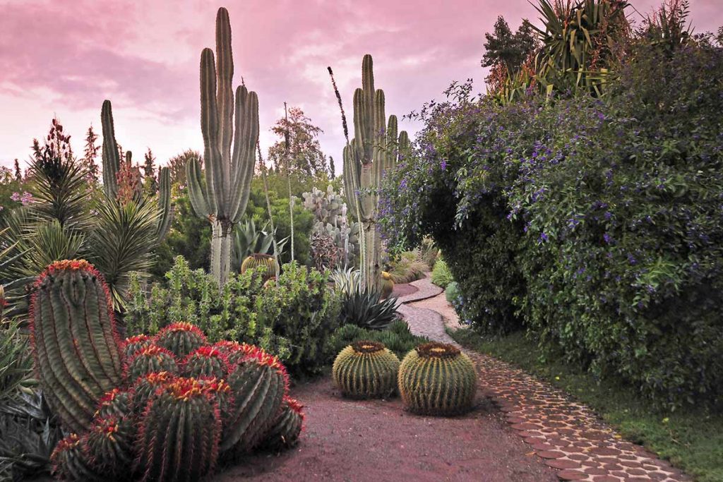 Anima Garten von Andre Heller in Marokko