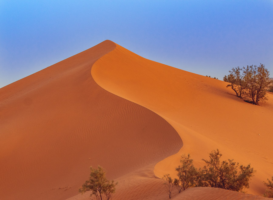 Sanddüne am Erg Chegaga in Marokko