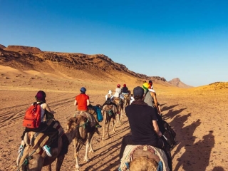 Dromedarritt zum Wüstencamp in Marokko