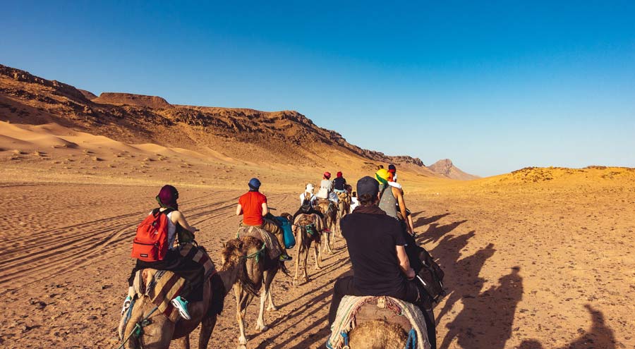 Dromedarritt zum Wüstencamp in Marokko
