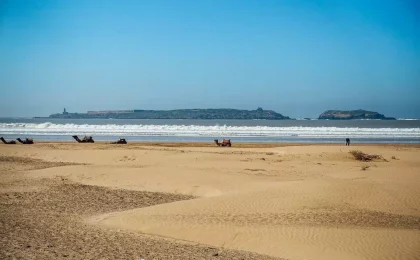 Ile de Mogador, Essaouira