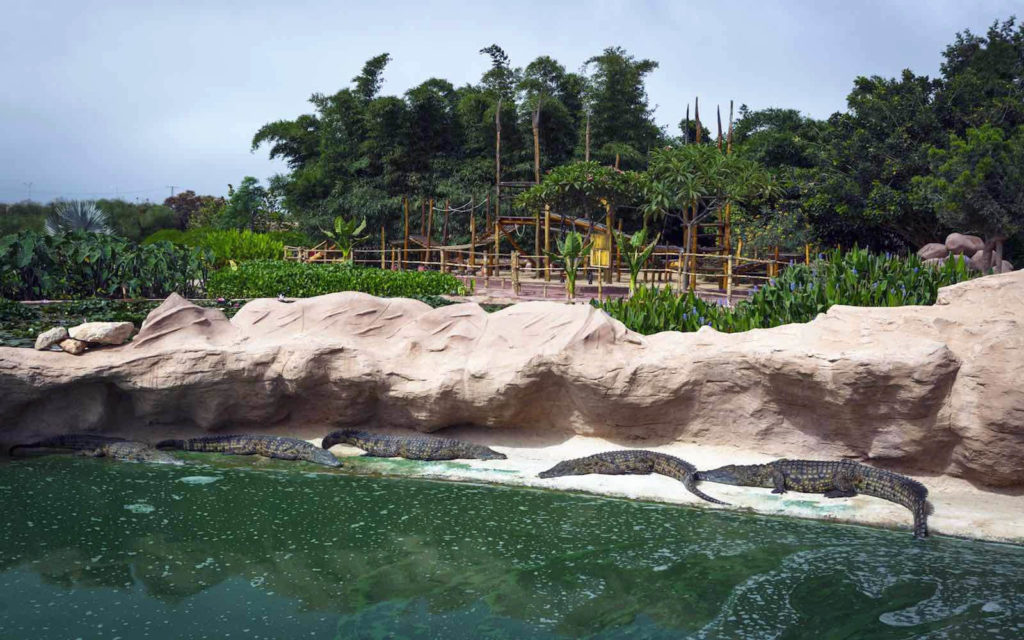 Blick auf den botanischen Garten im Crocoparc Agadir