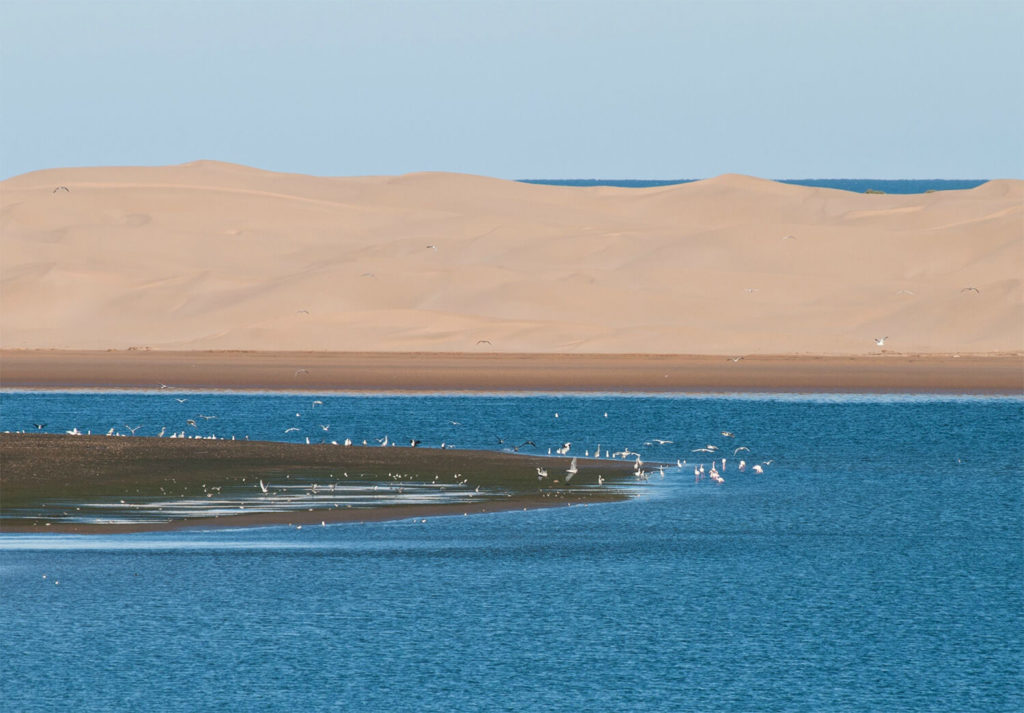 Dakhla Marokko