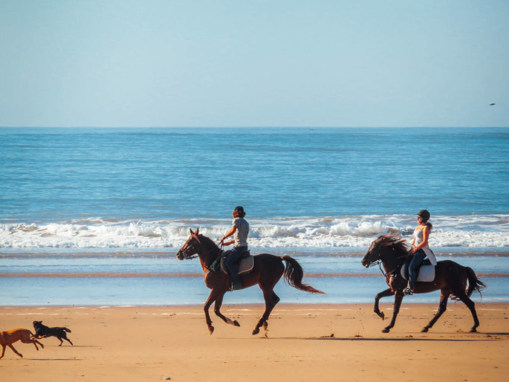 Reiten Essaouira
