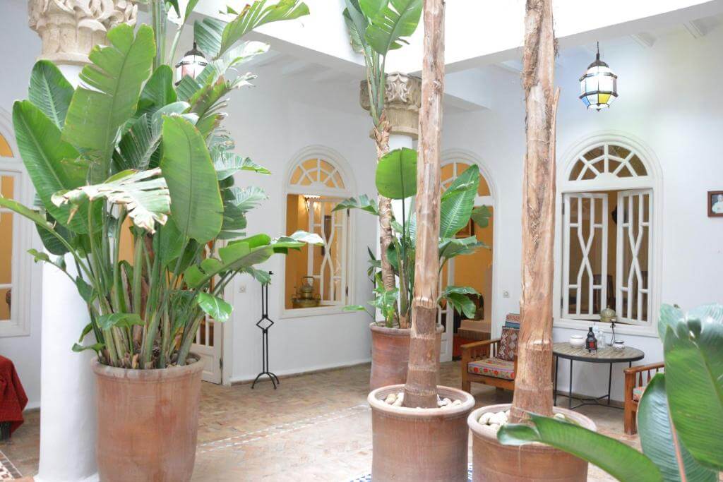 Riad Dar Loulema, Essaouira