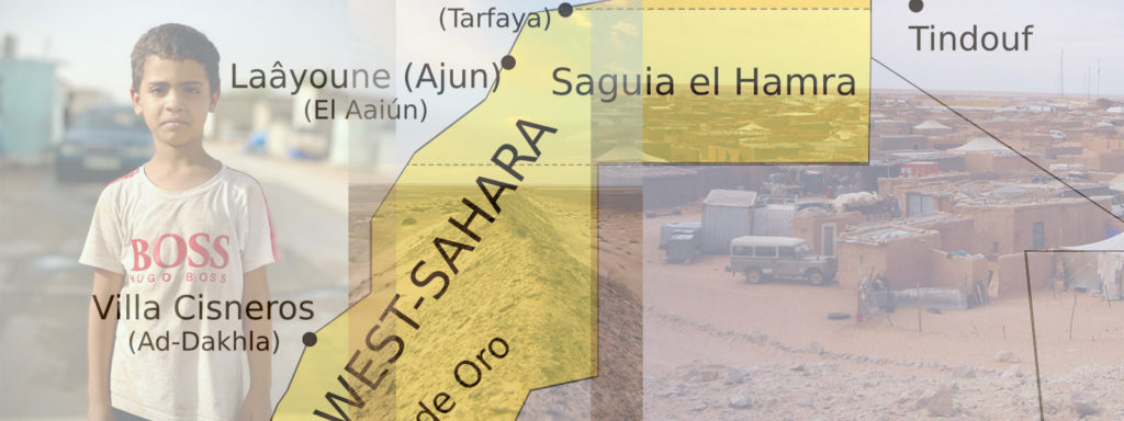 Der Westsahara-Konflikt: Historische Entwicklung, völkerrechtliche Sackgassen und geopolitische Neuordnung