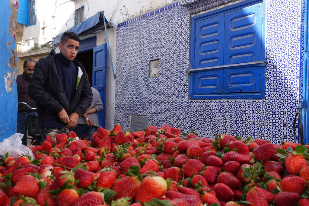 Erdbeeren in Marokko