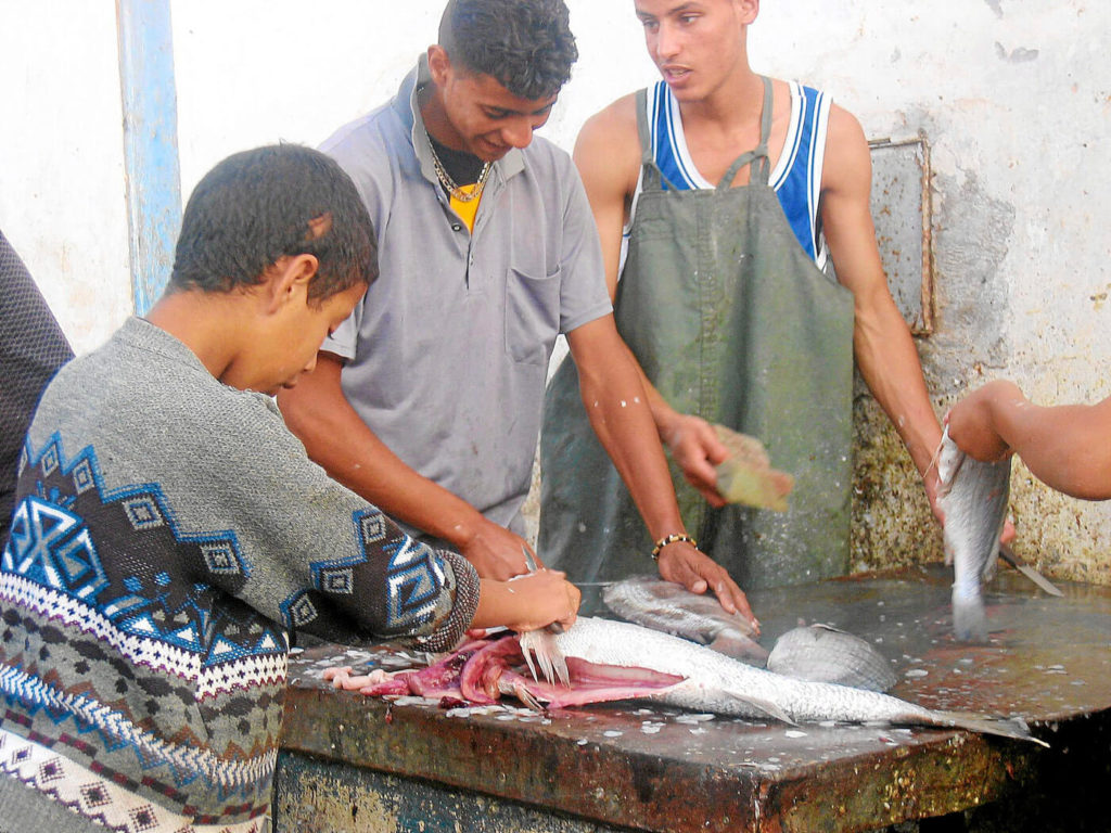 Fischhändler Mirleft