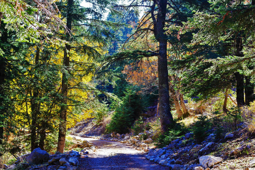 Talassemtane-Nationalpark